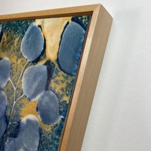 Eucalyptus