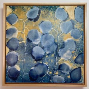 Eucalyptus