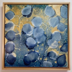Eucalyptus